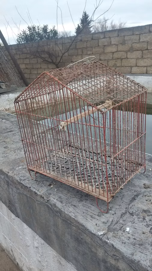 Məhsul: Metraldan quş qəfəsi - Material: möhkəm metal barmaqlıqlar