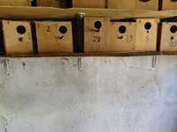Taxta quş yuvaları (dovğa/taxta qutular) - Material: sıx — foto 2