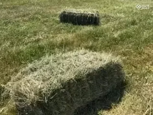 Խառը խոտի տուկ ու Յոնջայի տուկ