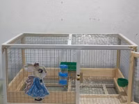 Dovşan,cücə,pişik,hamster,quş ve s kimi ev heyvanlari üçün qəfəsler — foto 4