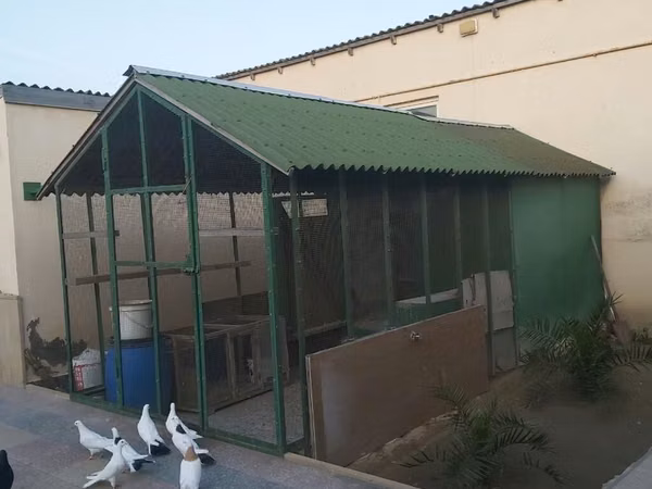Geniş quşxana satılır.Əlaqə üçün 0509995556