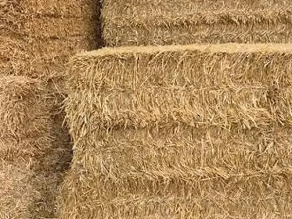 Yonca ilə qarışığ ot 1000 ədəd var hal hazırda yeni biçimdir TƏCİLİ