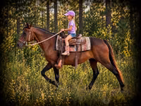 Klisna, Quarter Horse — foto 1