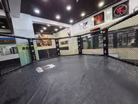 MMA məşq və yarışları üçün peşəkar oktagon qəfəs - Forma — сүрөт 2