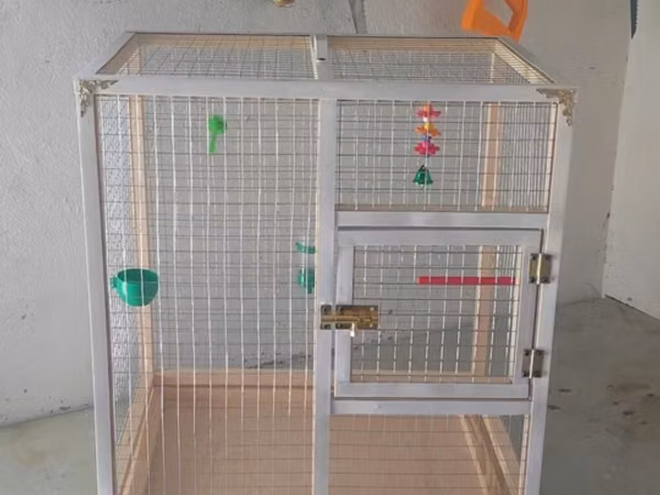 Papuqay,dovşan,hamster,şinşila,bildirçin,cücə,xamyak,pişik,quş,tısbağa