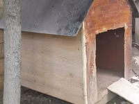 Açıq havada istifadə üçün taxta it evi - Material: qalın taxta — 照片 1