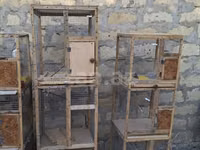 Quş qəfəsləri – çoxbölməli taxta-karkaslı konstruksiyalar • Material — foto 2