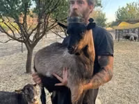 Cabro, Cabras — foto 6
