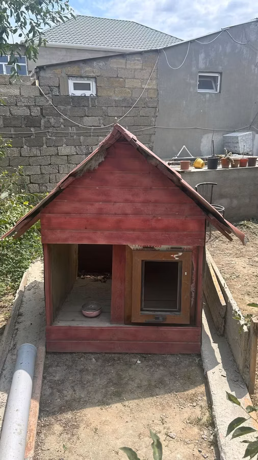 İt evi – taxta konstruksiya, iki girişli - Material: qalın taxta