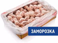 Тушка ЦБ 1с в пакете — photo 4