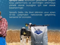 Sprayfo Delta buzov süd əvəzedicisi buzovların sağlam inkişafı və — foto 5