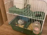 Cırtdan hamster və tam dəst qəfəs Məhsul təsviri: - Növ: cırtdan — 照片 3