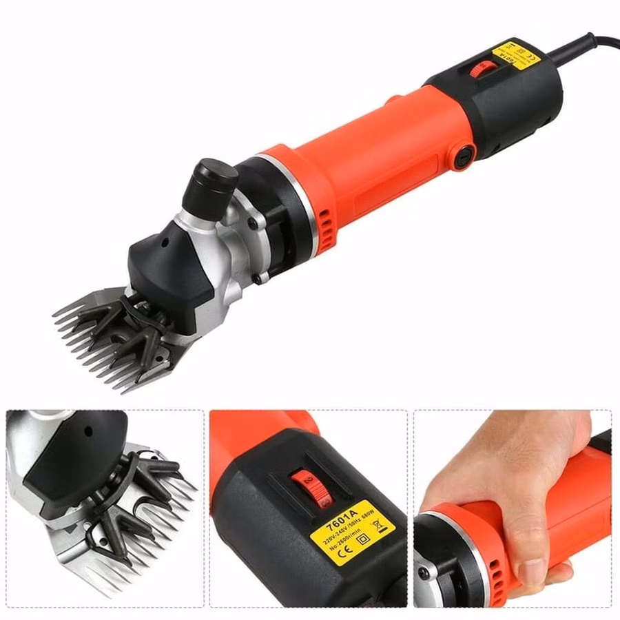 Qoyun qırxan 
Qoyun qirxan 
Qoyun qırxan 
690w