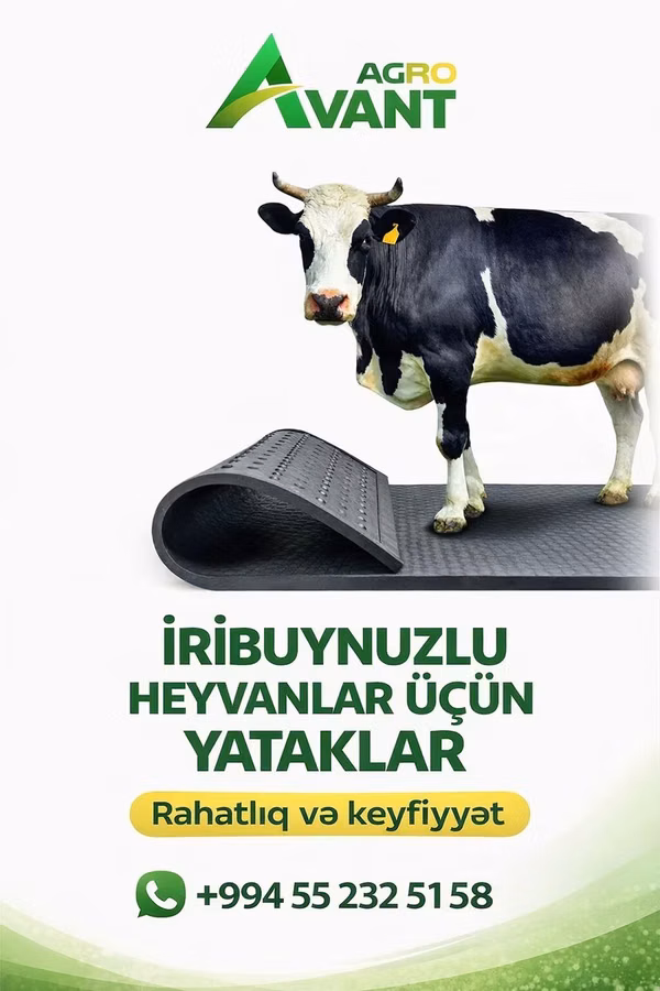 İriboynuzlu heyvanlar üçün yataqlar - Ferma və tövlələr üçün xüsusi