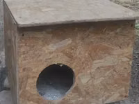 Կատվի տնակ Домик для кошки — foto 2