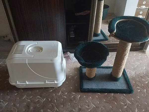 Pişiy yuvasi ile ayax yolu satilit ikiside 50 azen