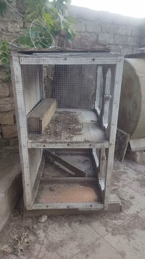 Taxta və metal torlu çoxbölməli qəfəs - Material: taxta karkas, ön və
