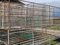 Հավի վանդակներ հավի բուն — Foto 3