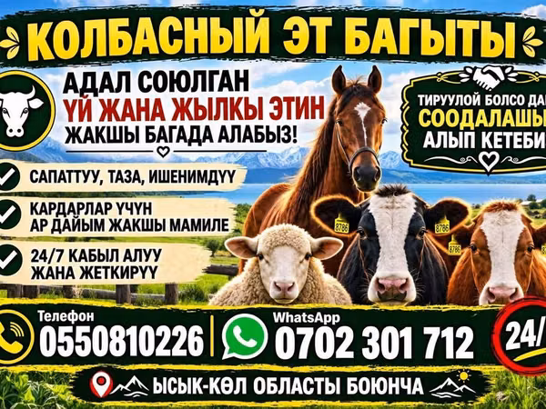Колбасный эт багыты — закупаем и принимаем на переработку мясо