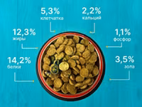 Корм для собак эконом класса Вожак 5кг — الصورة 4