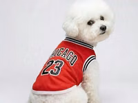 İtlər üçün basketbol forması (Chicago 23) – (5.9 – 9.1 kq) İtlər üçün — Foto 1