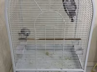 Jako ve boyuk qushlar ucun qefes. Cox az iwlenib. Yeni kimidir. Qiymet — foto 2