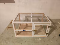 Dovşan,hamster,şinşila,bildirçin,cücə,xamyak,pişik,quş ve s kimi ev — foto 2