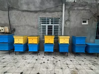 Arıçılıq üçün taxta arı pətəkləri - Model: çoxkorpuslu taxta pətək - — foto 3