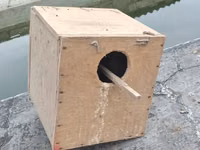 Taxta quş yuvası/kutubçası - Material: Sərt kontrplak/taxta - Forma — foto 1