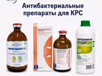 Антибактериальные препараты для КРС — ფოტო 1