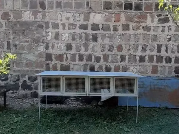 Նապաստակի բուն տնակ