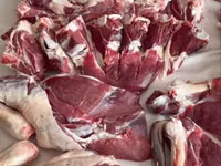 Beran, Rhon sheep — foto 6