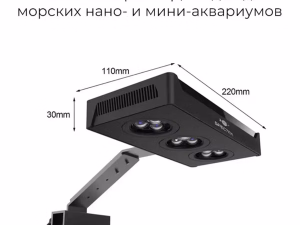 Ծովային ակվարիումի լույս