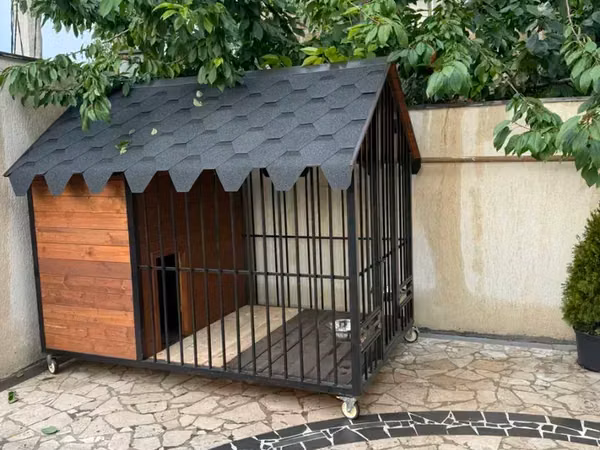 Շան բուն Ալաբաի համար Ազյատ