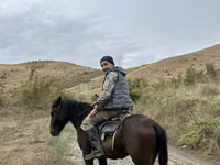 Aygʻir, Azerbaijan horse — 1-rasm