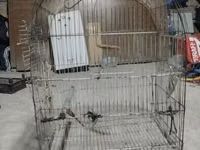 Metall quş qəfəsi dovşan tutuquşu göyərçin qəfəs - Material: möhkəm — сүрөт 2
