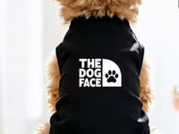 İtlər üçün yay köynəyi (The Dog Face) – (3.6 – 5.9 kq) İtlər üçün — Foto 1