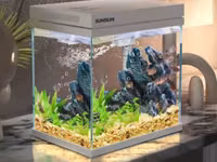 Գործարանային Ակվարիում SUNSUN HEJ-380 22լ, 4W LED (Аквариум, Aquarium) ԱՆՎՃԱՐ Առաքում Երևանում — foto 2