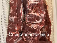 Спинно-поясничный отруб от производителя — сүрөт 2
