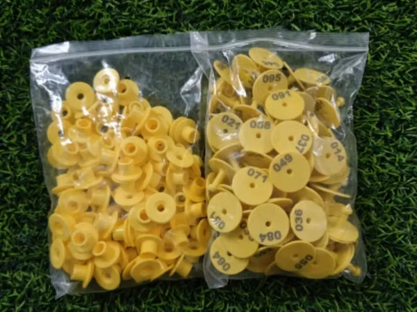 Maldarçılıq üçün plastik qulaq nişanları (nömrəli) - Tətbiq: inək
