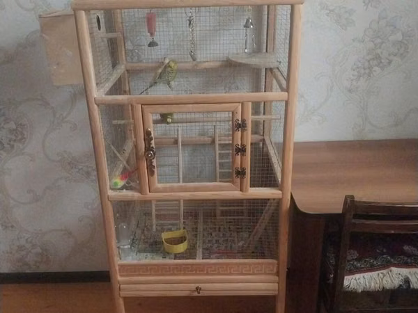 2 dənə quş verlir təcili satılır aşağı yeri də var