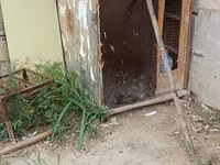Birde problemi qapısın srublamalisiz Taxta göyərçin yuvası/qəfəs — foto 4