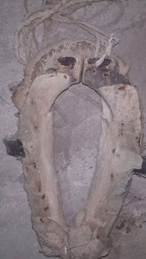 At arabası/yük arabası üçün köhnə tip qoşqu boyunduruğu (xomut) -
