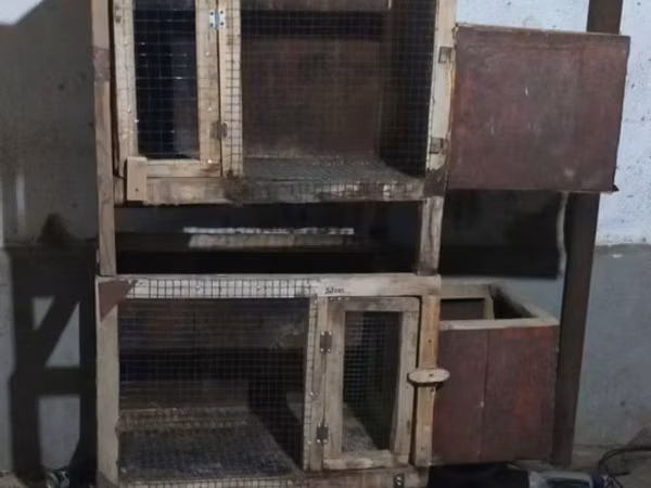 Клетки для кроликов