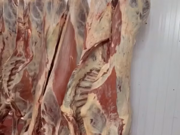 Молодняк, коровы1,2 кат. полутуши охл.