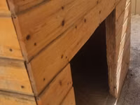 Taxta it evi - Material: təbii taxta panellər, möhkəm karkas - Dam — photo 2