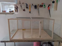 Papuqay,dovşan,hamster,şinşila,bildirçin,cücə,xamyak,pişik,quş,tısbağa — foto 1