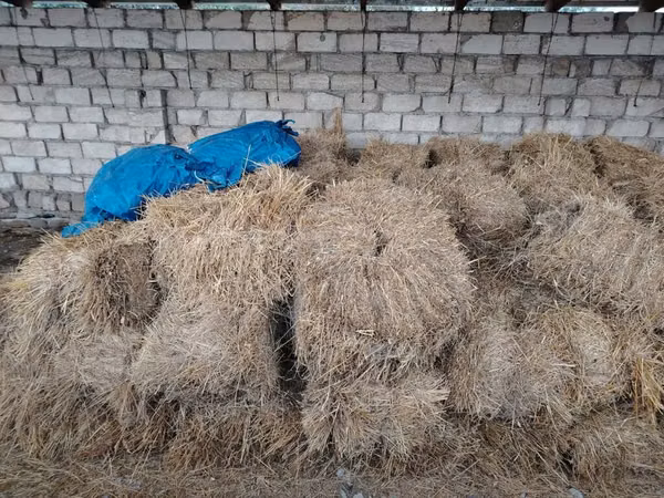 Ot bağlamaları tecili satılır