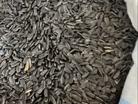 Ծտի կեր արեվածաղիկ մանր — Foto 1