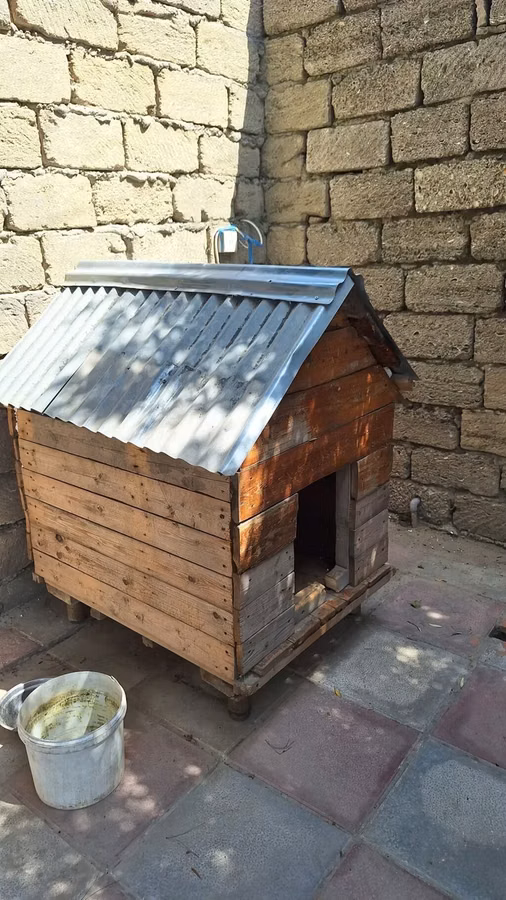 Taxta it evi - Material: qalın taxta lövhələrdən yığılıb, iç və dış